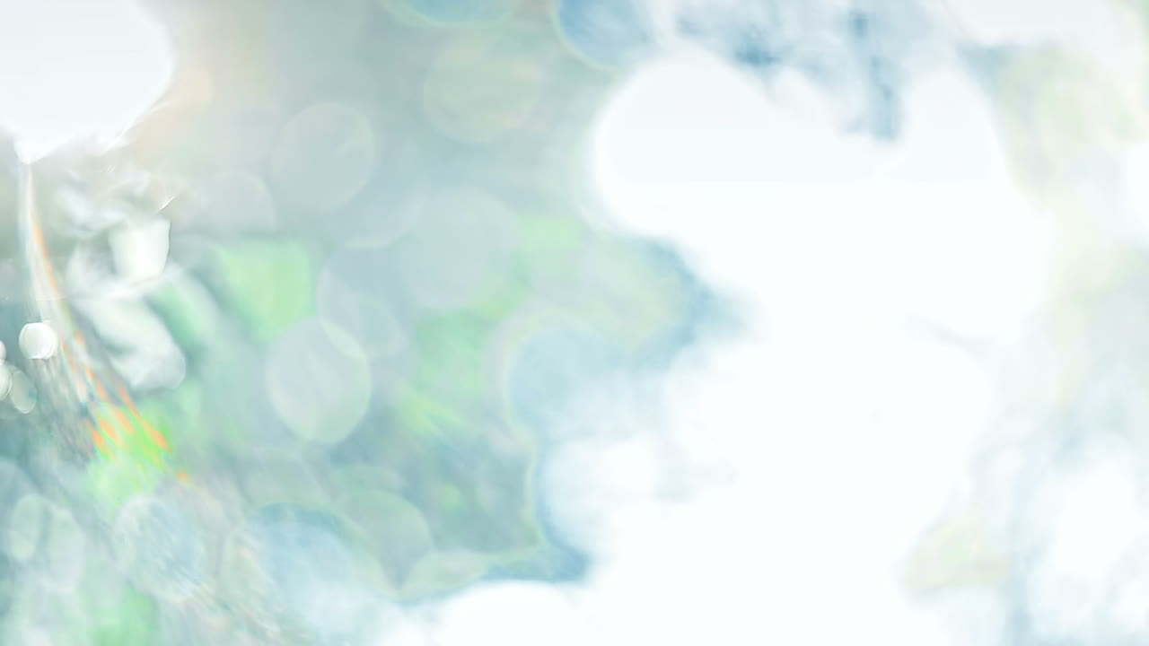 morgensonne durch bäume. frühe morgensonne kommt bei sonnenaufgang durch die bäume auf.