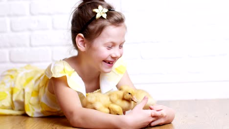 a little cute girl in a yellow dress is playing with three little yellow ducklings, feeding them with herbs. ducklings drink water from a plate. indoors, on white background