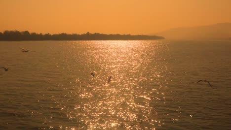 establishing static shot, sea birds flying over the bay of bengual at sunset, saint martin