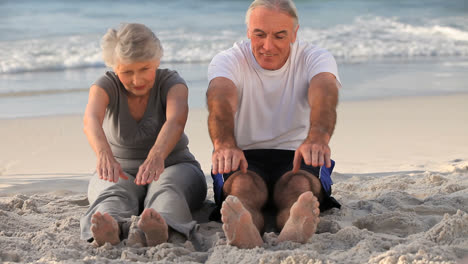 elderly man and woman doing flexibility exercice