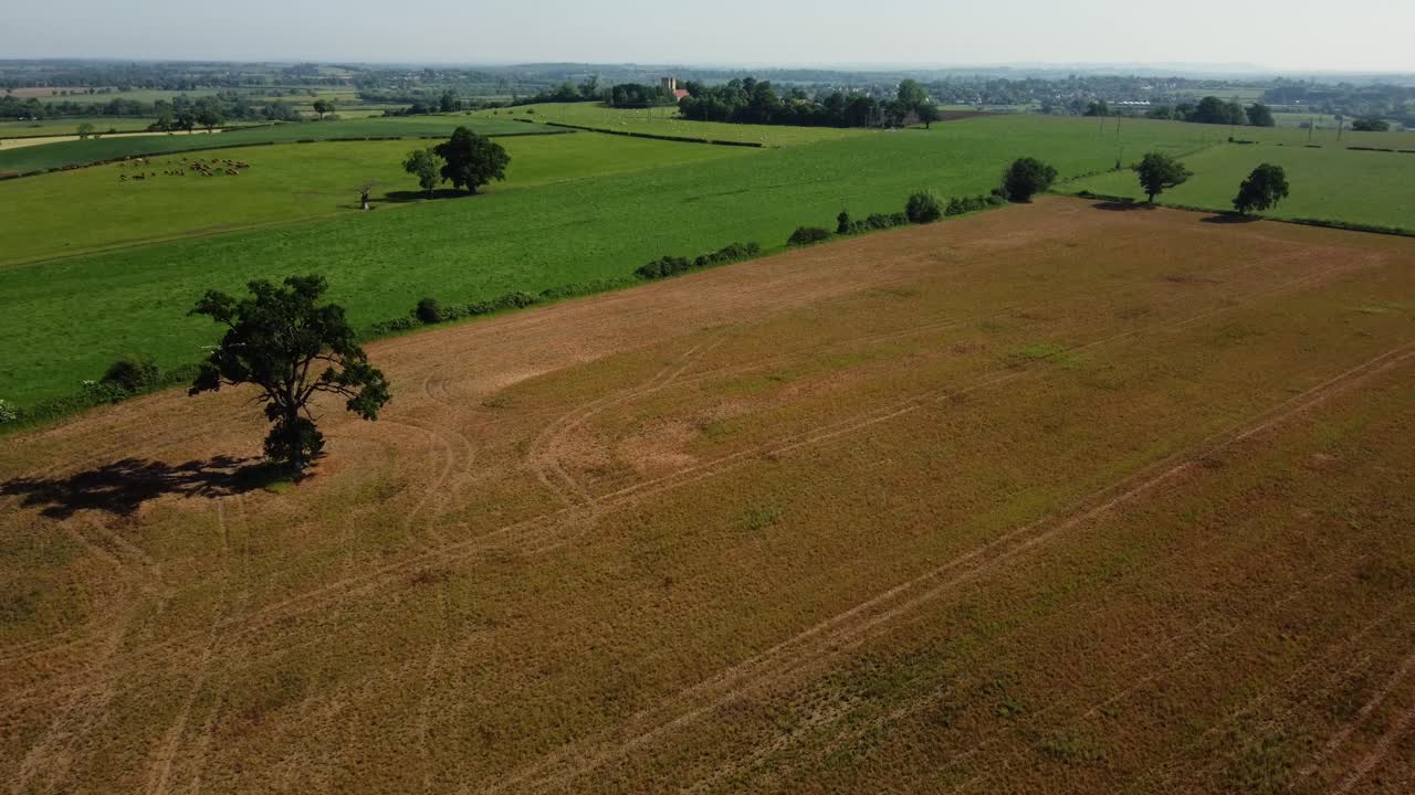 Aerial view of a field with trees