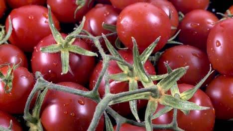 close-up and detailed shot pile of fresh tomato