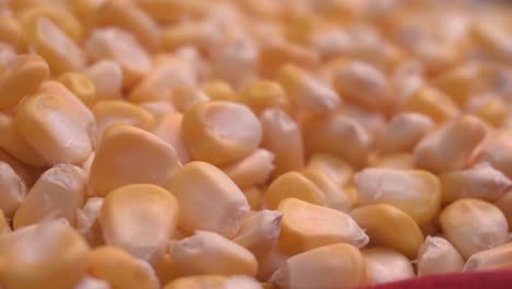 o milho é um alimento muito saudável e saboroso-2