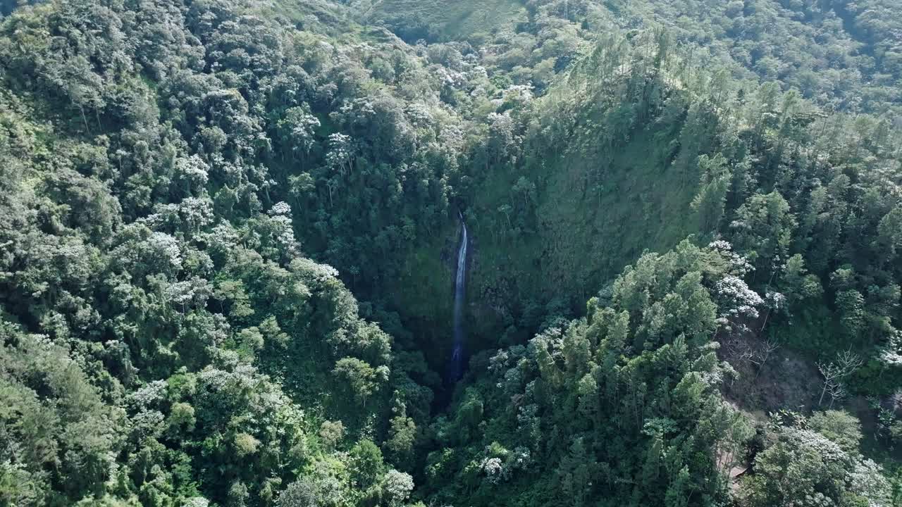 cascada que cae en la selva en la región de salto del rodeo de bonao_aerial