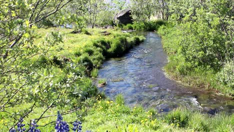 Ein-Bach-In-Der-Isländischen-Landschaft