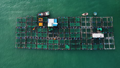 Antena-De-Arriba-Hacia-Abajo,-Piscigranja-Flotante-En-Medio-Del-Océano-En-El-Sudeste-Asiático