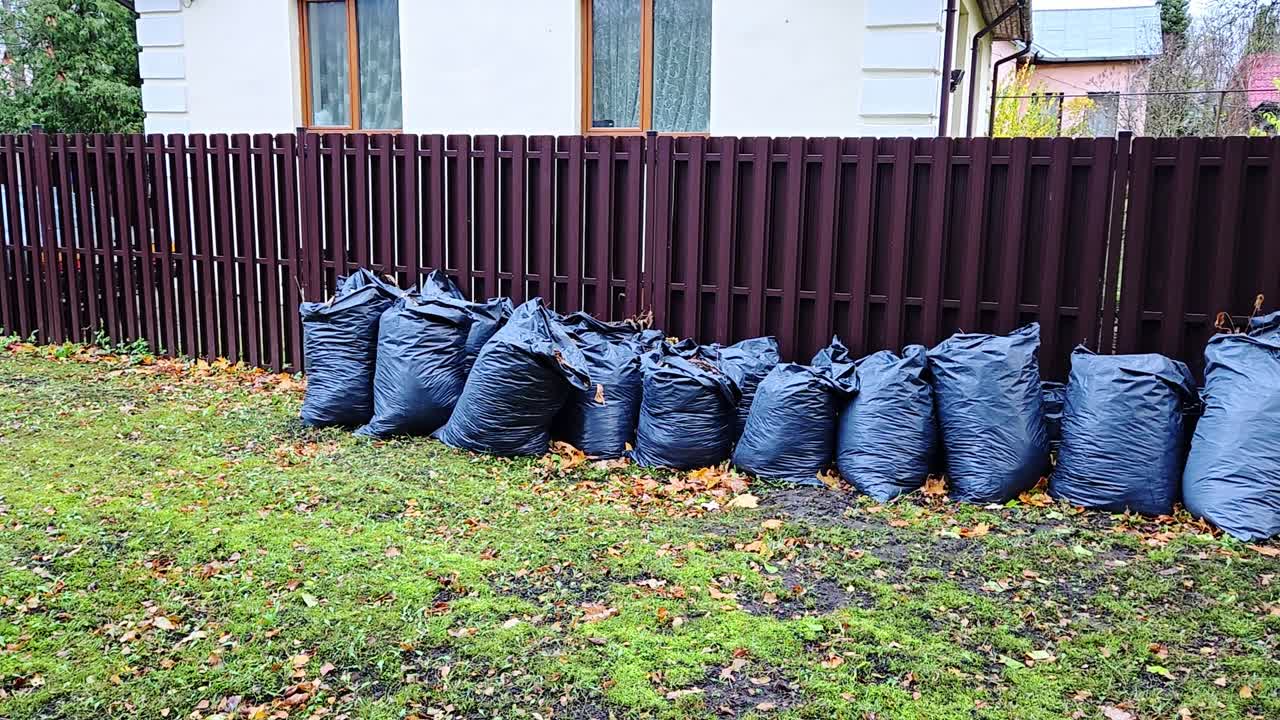 Backyard scene with collected autumn leaves in bags reflects tidy outdoor care