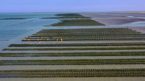 Antena-Sobre-Granja-De-Mejillones-Francés-En-La-Playa-De-Utah,-Normandía,-Francia-4