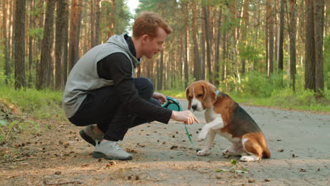 man and his beagle enjoying a walk in the forest