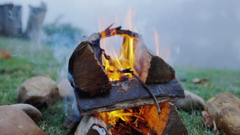 fuego, campamento y madera en la naturaleza para el viaje