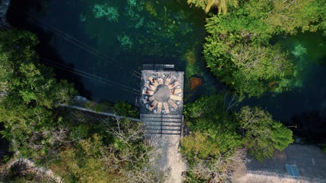 Vista-Aérea-De-Las-Colchonetas-De-Yoga-Colocadas-En-Un-Círculo-Junto-Al-Cenote-En-La-Riviera-Maya