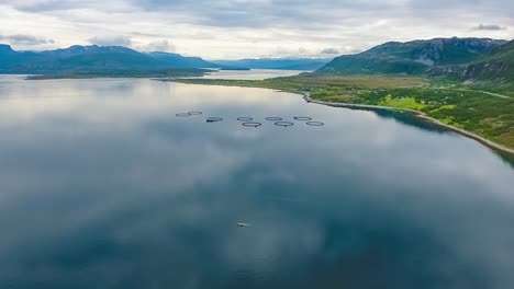 aerial footage farm salmon fishing in norway