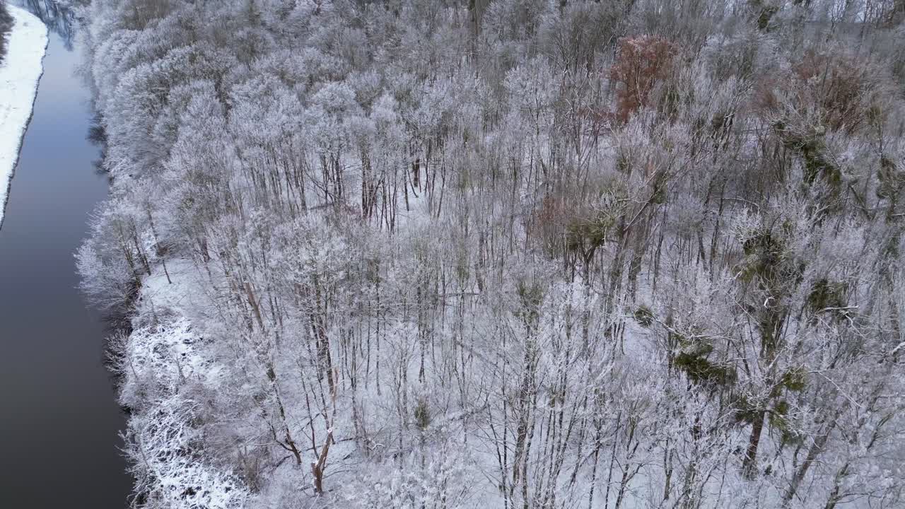 겨울 눈 강 나무 숲 구름이 많은 하늘 독일