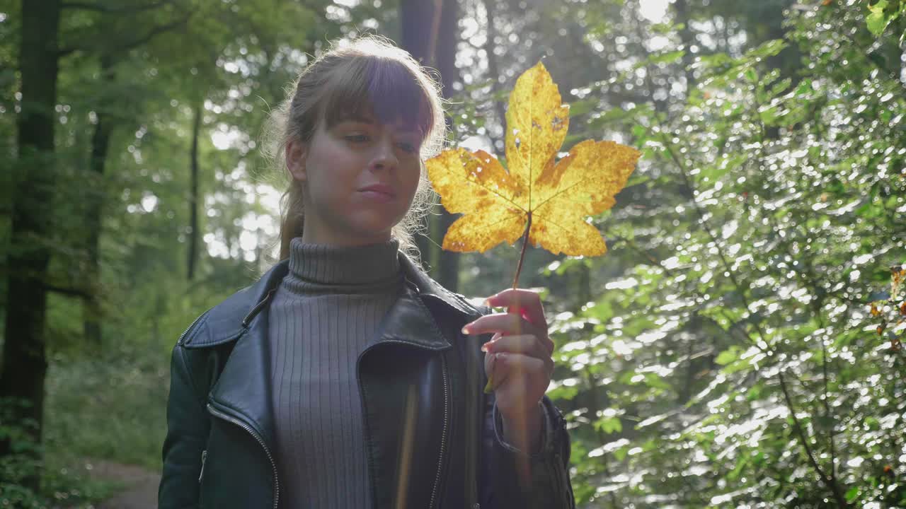 hermosa mujer joven mira a la hoja amarilla en el bosque, la luz de la lente