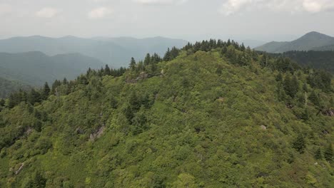 Aerial-retreats-from-dense-green-forest-on-foggy-mountain-hillside,-NC