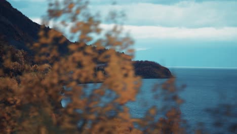 autumn forest covers the hills on the coast