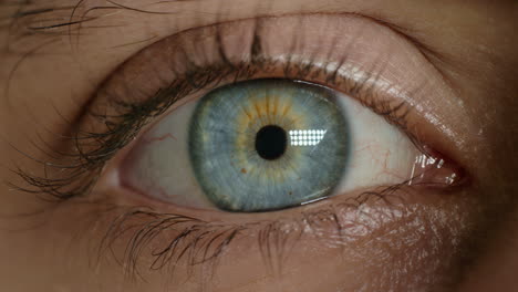 close up blaue augen öffnen blinzeln natürliche schönheit sehkraft gesundheitskonzept