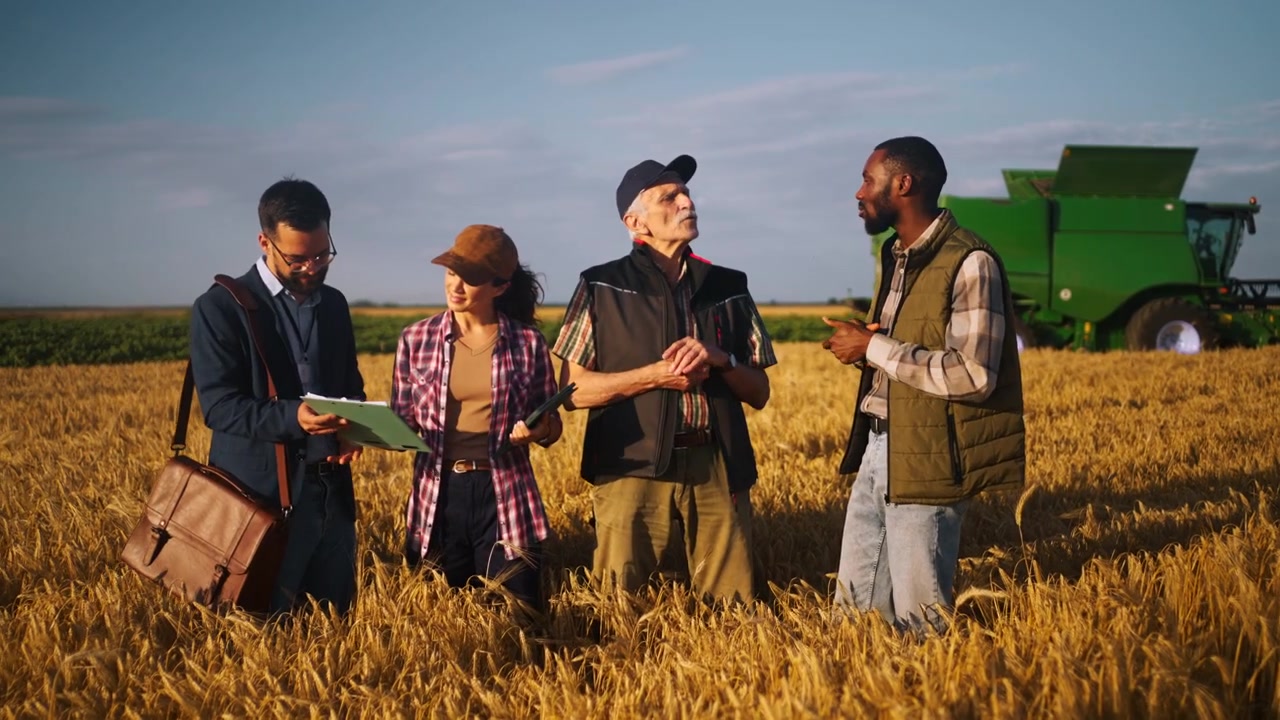 Grupo diverso de profesionales conversando sobre agricultura en un campo de trigo