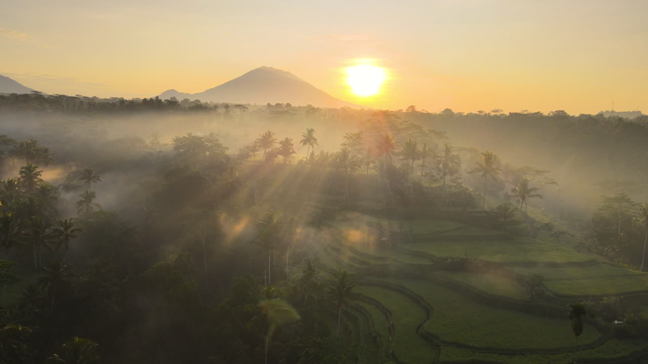Terraced Rice Fields With Scenic Sunset In Bali, Indonesia - aerial drone shot