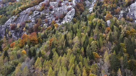 Drone-En-El-Bosque-Y-Piedras-En-Val-Di-Mello,-Italia