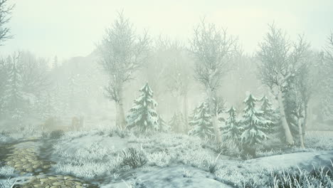 Wintersturm-In-Einem-Wald-Im-Winter