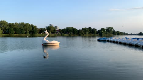 Swans-boat-on-the-lake-in-sunny-weather