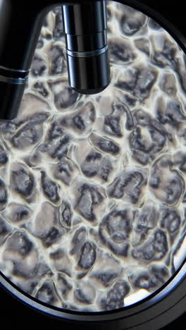 microscopic view of biological tissue