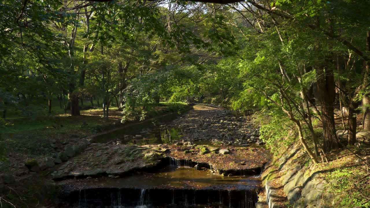A tranquil, wide shot of a small stream and drainage area with rocky banks and a tiny waterfall flowing through the lush, green forest of Naejangsan National Park on a sunny day