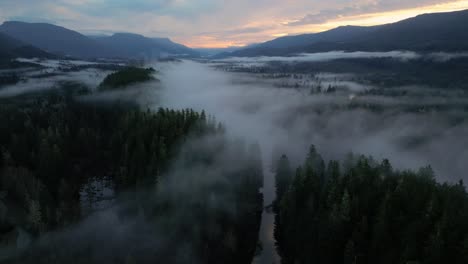 aerial view of secluded scenic lake and foggy trees at sunrise