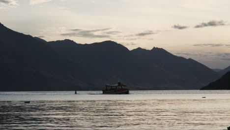 sightseeing tourist boat returns to queenstown harbor at sunset, accompanied by seagulls