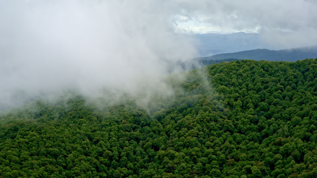 Cinematic drone ride through the misty wilds of the Smoky Mountains on a rainy day