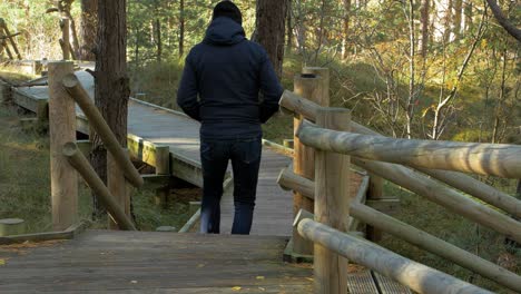 back view of caucasian male exploring nordic seaside forest, wooden pathway, man walking alone in the coastal pine forest, sunny day, healthy activity concept, medium shot
