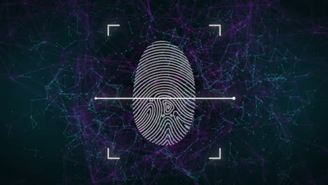 animation of fingerprint scanning over network of connections on black background