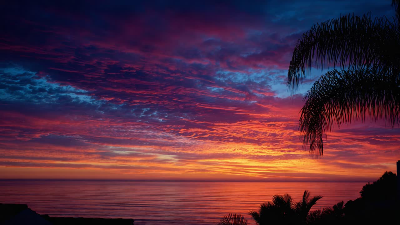 A breathtaking sunset panorama reveals a stunning blend of purple, orange, and blue hues reflecting beautifully over calm ocean waters, framed by tropical palm trees