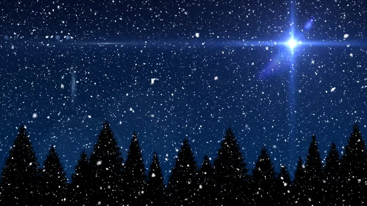 푸른 배경에 빛의 반점에 대한 나무의 실루 ⁇  위에 떨어지는 눈