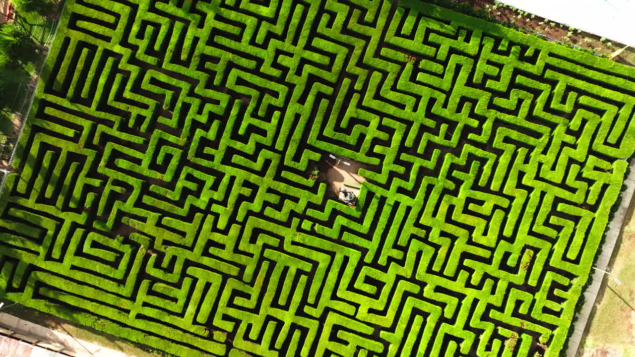 Aerial top down view of a square hedge maze, geometric green pattern, symmetry