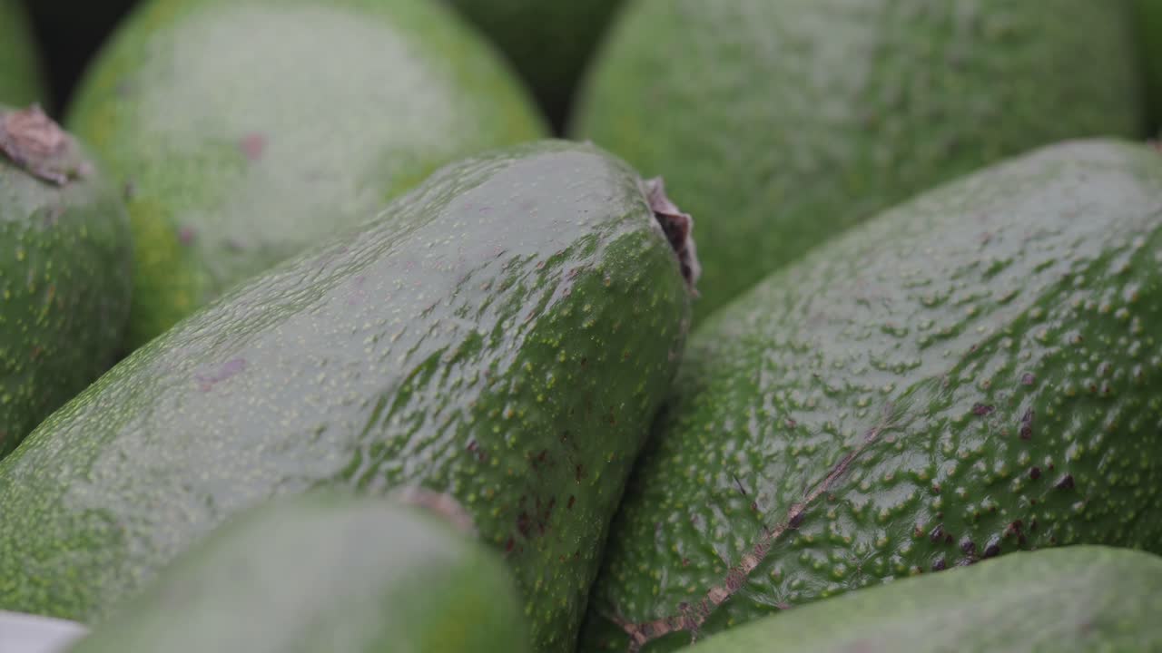 신선한 아보카도