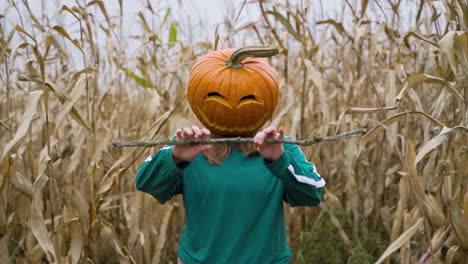 girl with pumpkin head standing at cornfields break small branch with bare hands