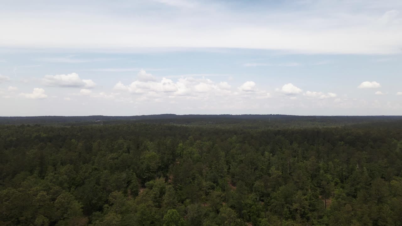 Aerial Shot of a Forest in the Country