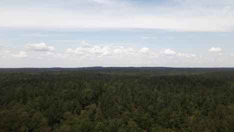 toma aérea de un bosque en el campo