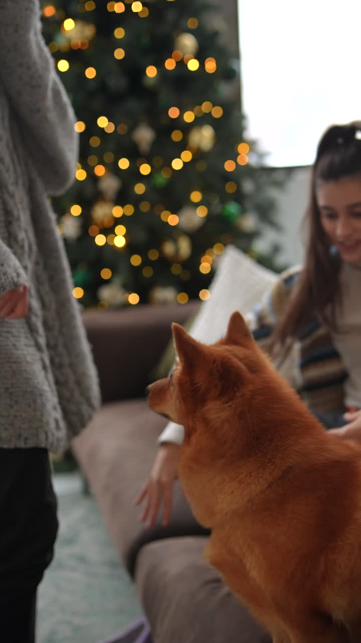 familia disfrutando de la navidad con su perro