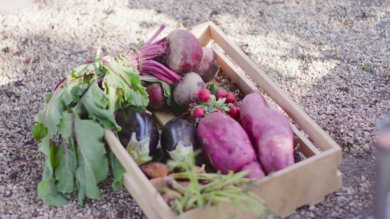 Pushing camera in on wooden crate of beetroots, eggplants, radishes on gravel, emphasizing textures