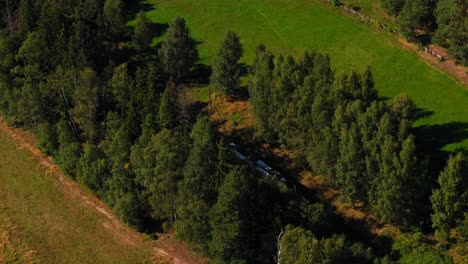 "rails through nature: aerial views of train, forest