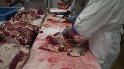 beef meats being trimmed by workers at a meat processing plant table, close up shot