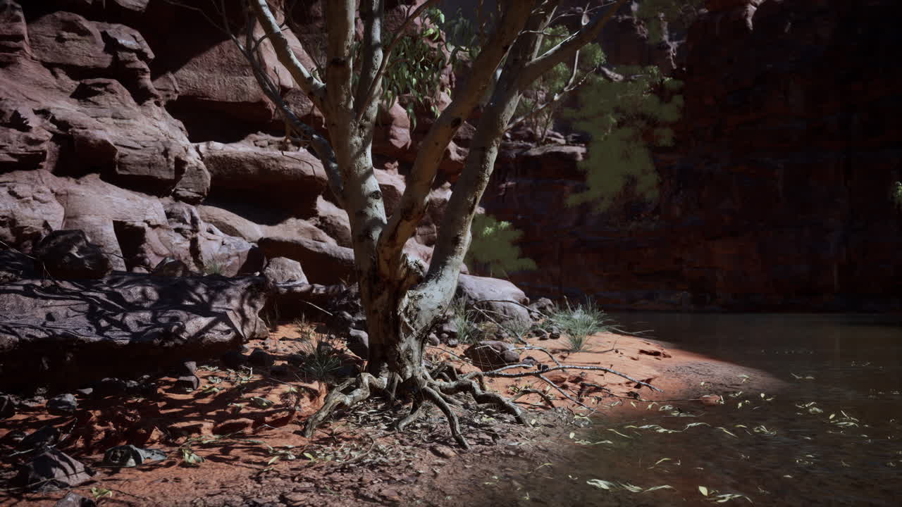 산 강 과 콜로라도 의 다채로운 산 들