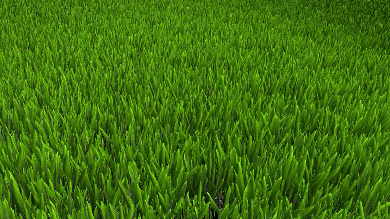 el césped es una animación en 3d.