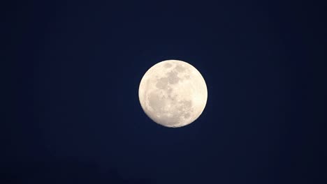 Ein-Vollmond-Geht-Auf