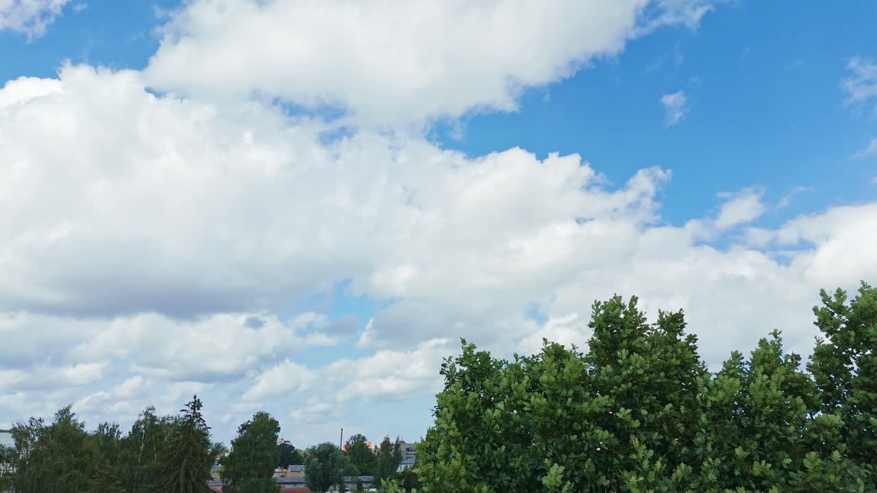 Oak treetops sway in brisk wind beneath a bright blue sky with rolling white clouds, highlighting leaf texture and the motion of a breezy day