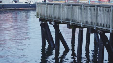 muelle de madera sobre el agua con olas