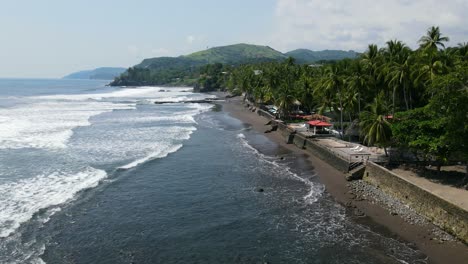 aerial view moving forward shot, scenic view coconut trees on the beach of the bitcoin beach in el salvador mexico, sunny day in the background